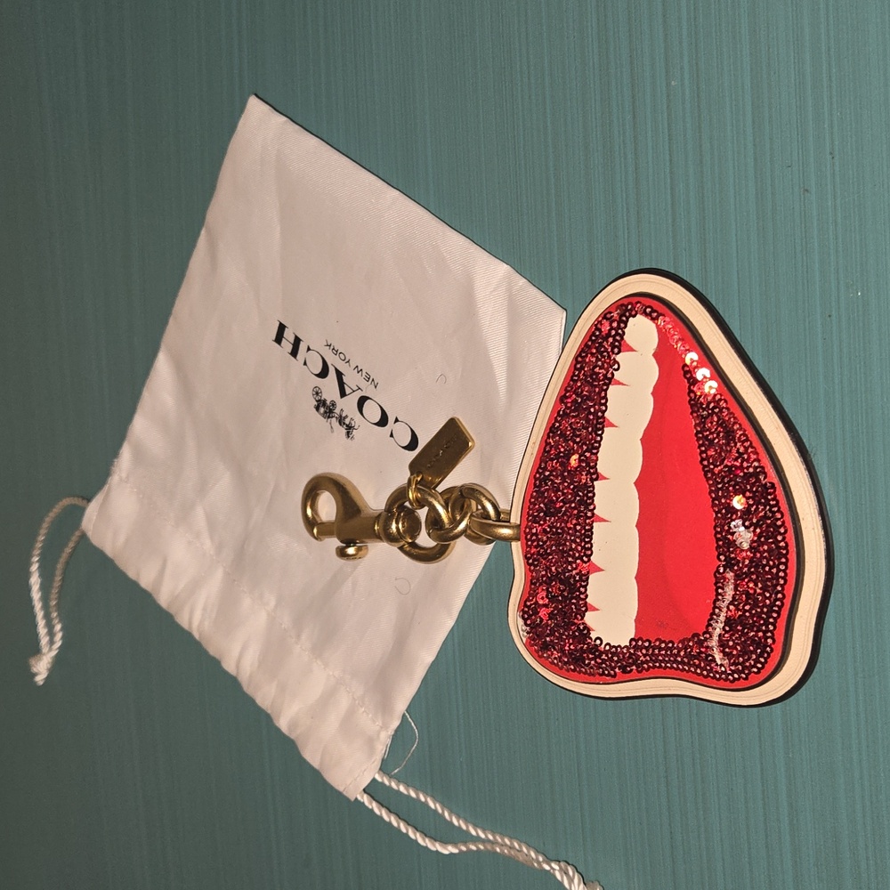 Coach x Tom Wesselman bag charm